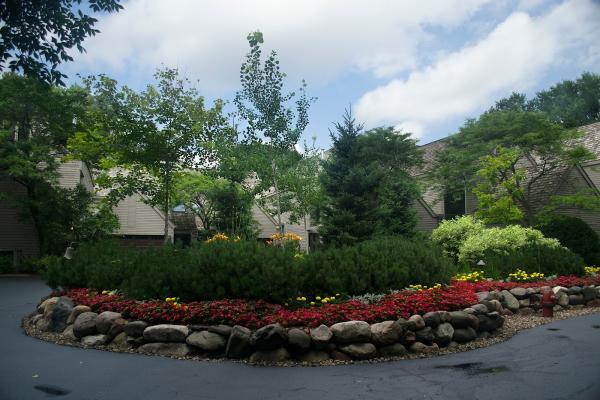 Mangold Horticulture