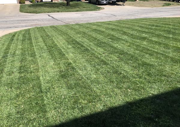 Madfield Lawn & Landscaping