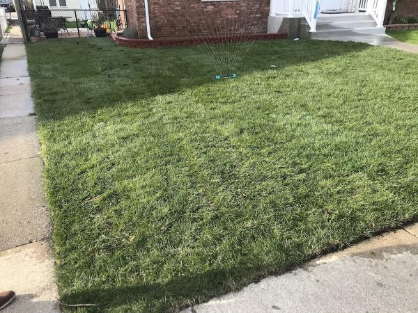 Ben G Landscaping
