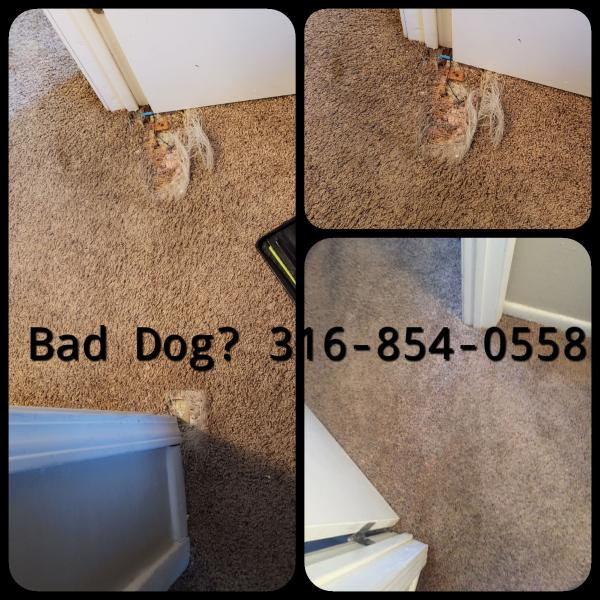 Be Amazed Carpet Cleaning