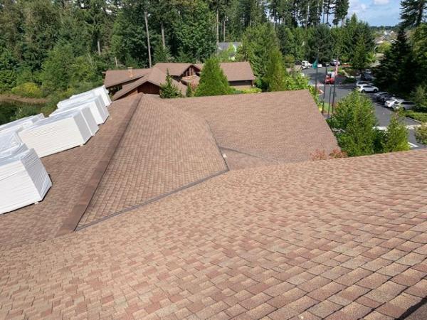 Cougar Construction & Roofing
