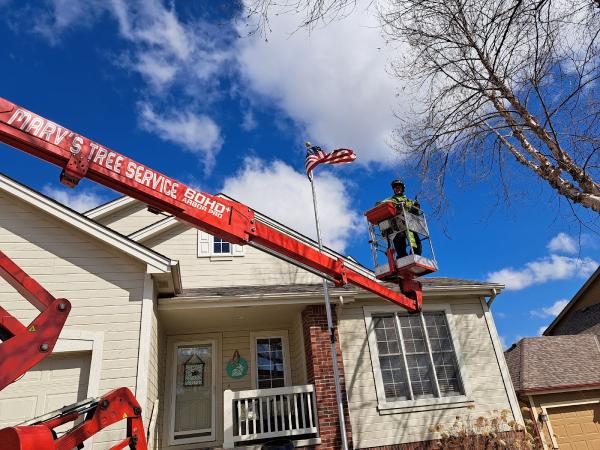 Marv's Tree Service
