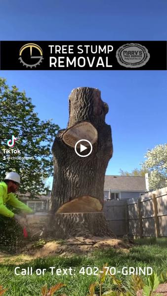Marv's Tree Service