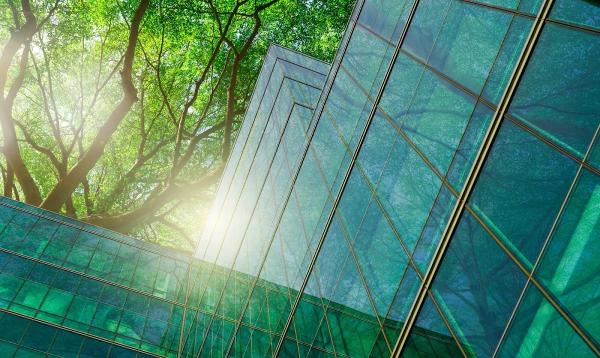 Urban Nature