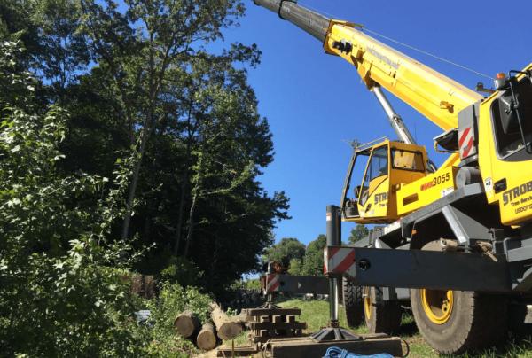 Strobert Tree Services