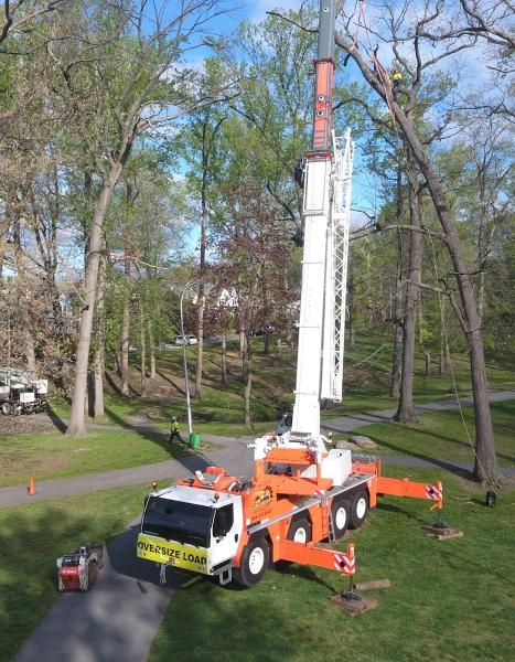 Strobert Tree Services