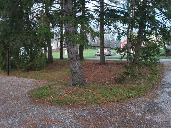 Strobert Tree Services