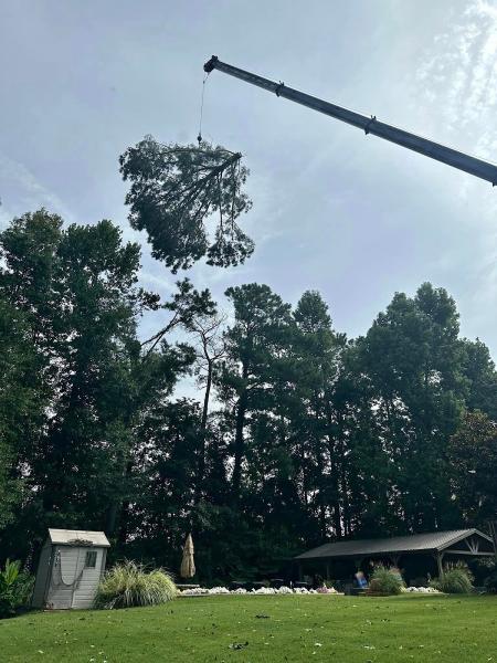Georgia Pro Tree Services
