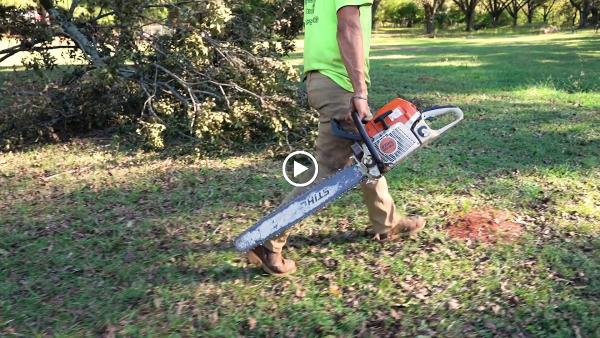 Georgia Pro Tree Services