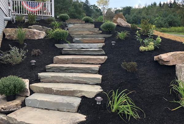 Elite Outdoor Services