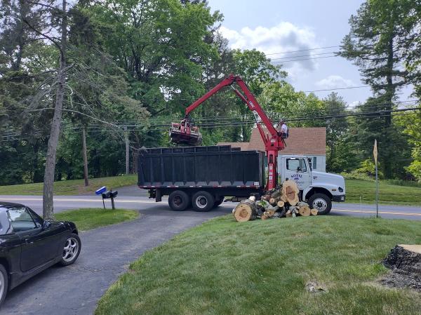 Sotil Tree Service