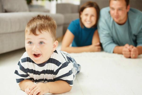 Elite Carpet Cleaning & Repair