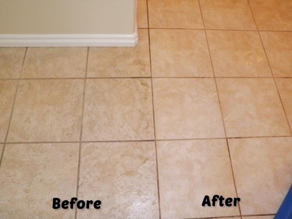 Elite Carpet Cleaning & Repair