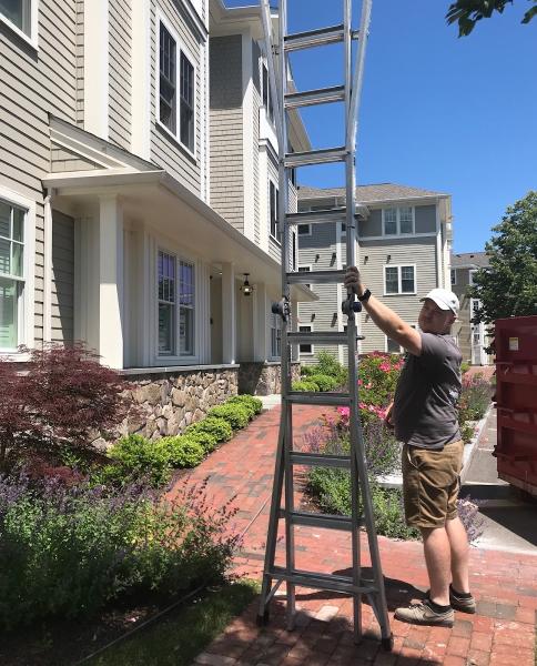 Lambent Cleaning and Windows