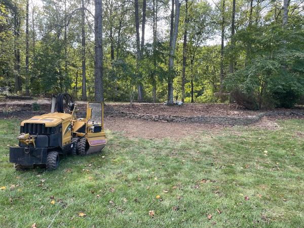 Mts-Pro Tree Service & Landscaping LLC Tree Service in Leesburg