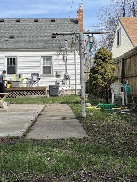 Ricuccis Tree Service Llc.