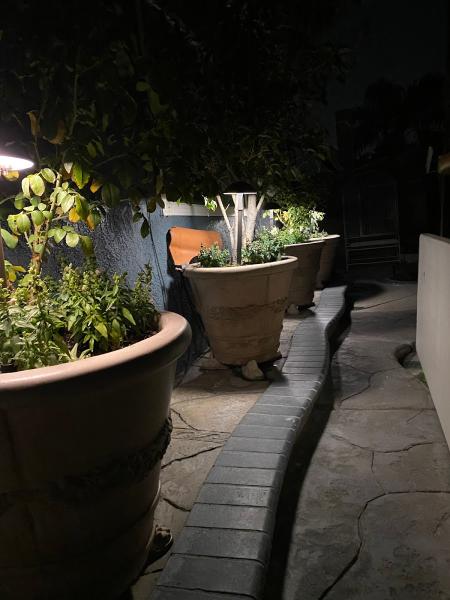 Arbol Roble Landscaping Services