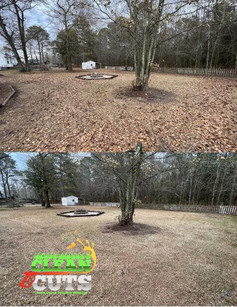 Clean Cuts Lawn Care and Pressure Washing