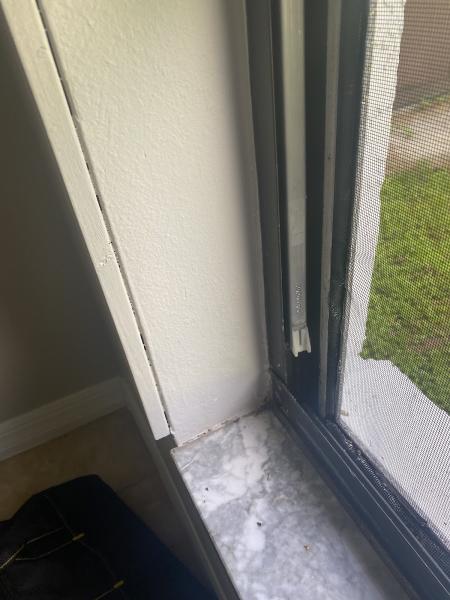Hood's Window Repair
