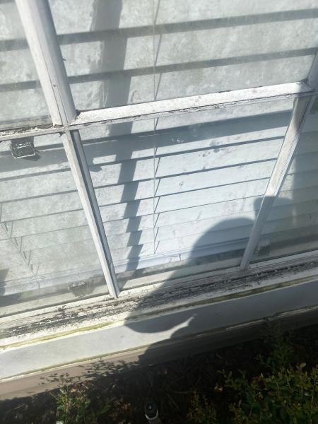 Hood's Window Repair