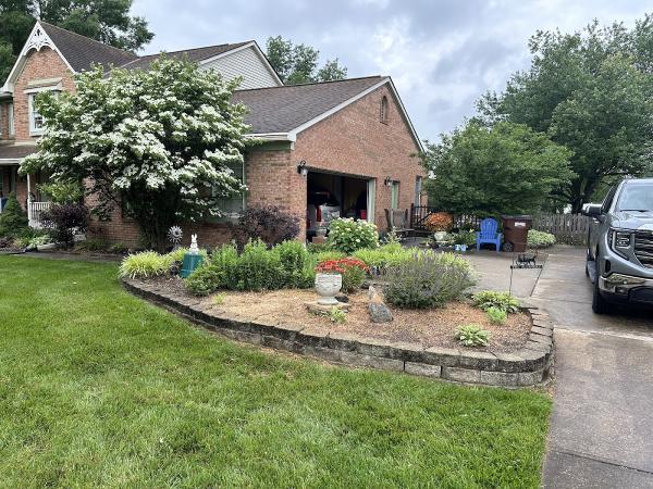 Clark Tree Service