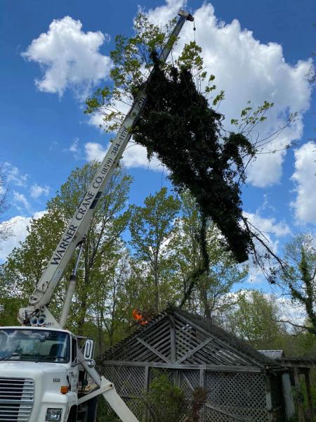 Clark Tree Service