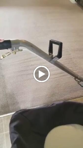 Eco Friend Carpet Care