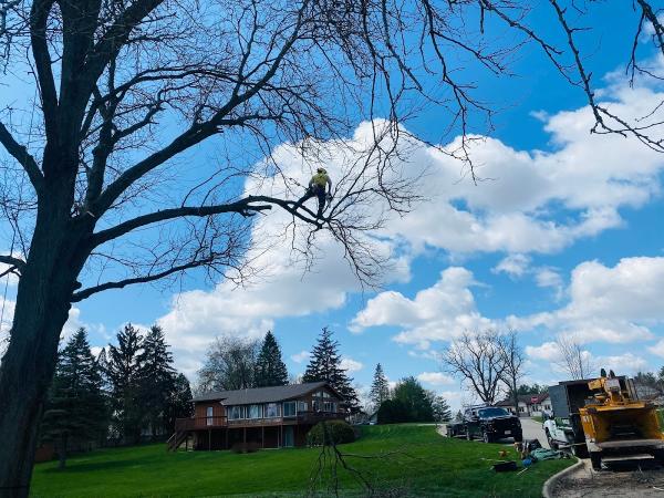 Hillcrest Tree Care