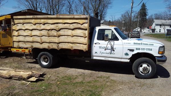 United Tree Specialists