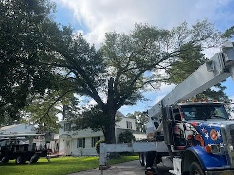 Top Flight Tree Service LLC