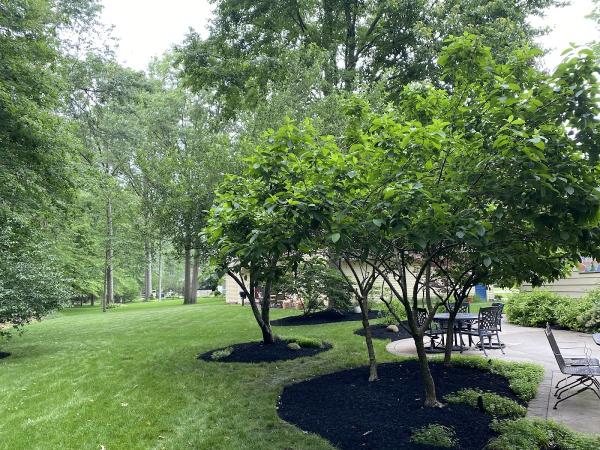 Dawson's Landscape LLC