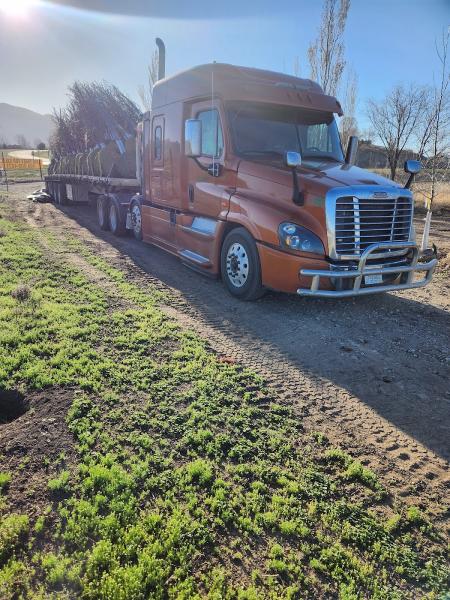 Shade Today Tree Moving & Tree Farm
