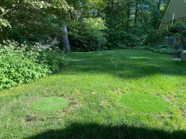 Grant's Septic Techs
