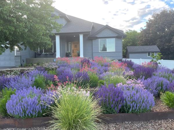Gardenlandscapes