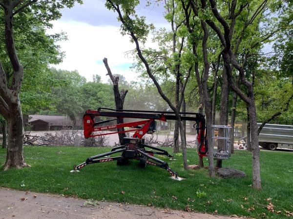 Gosiak Tree Service