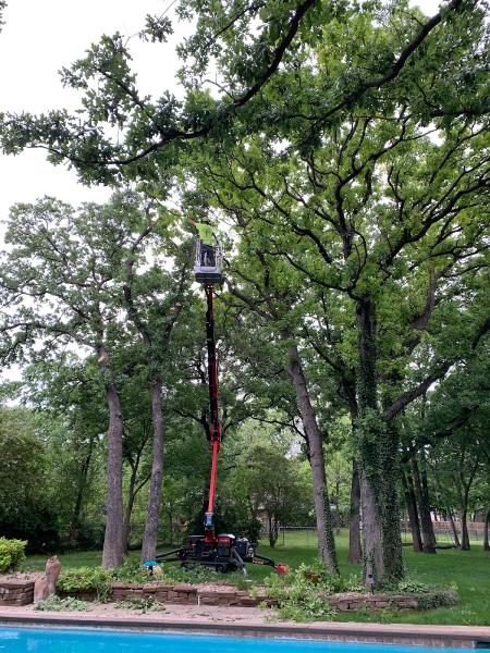 Gosiak Tree Service