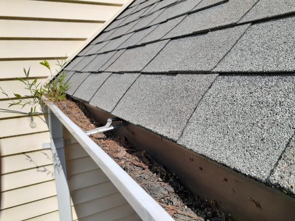 Power Washing Genie