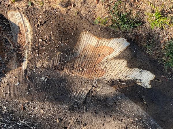 Dad's Stump Removal