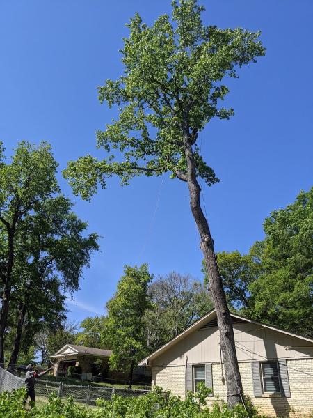 Triple J Tree Service