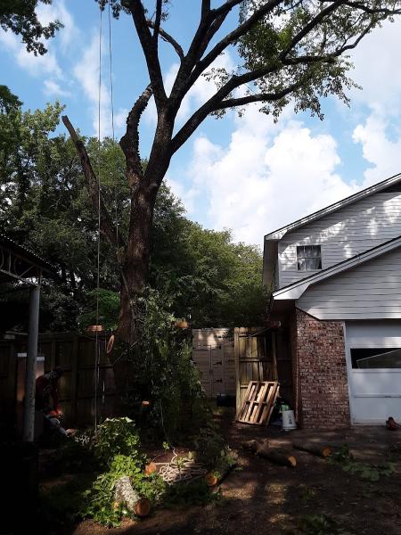 Triple J Tree Service