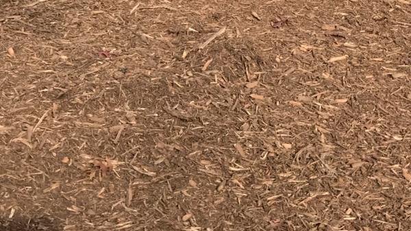 Wildcat Advanced Land Clearing LLC