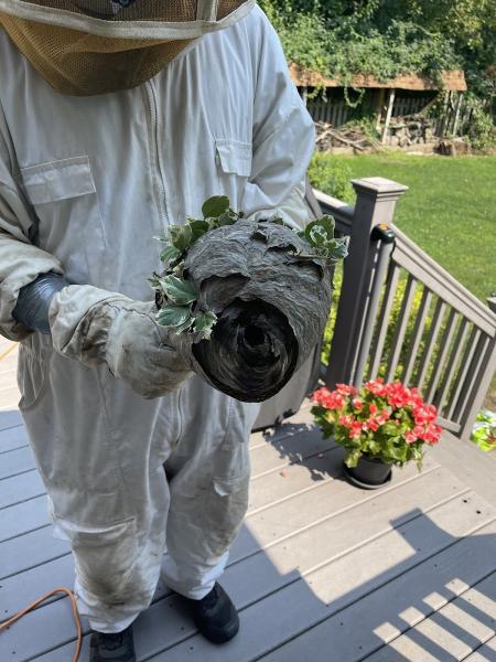 Kapture Pest Control