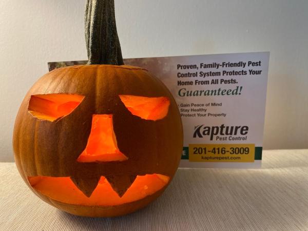 Kapture Pest Control