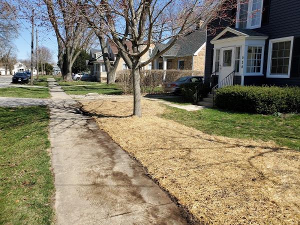 Diamond Cuts Landscaping and Commercial Snow Removal