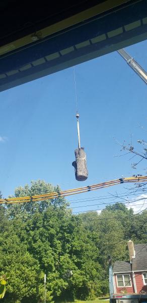 La's Quality Tree Service