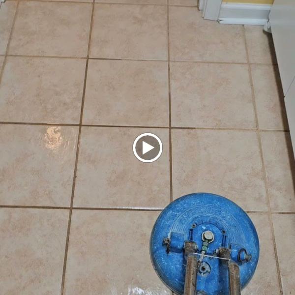 Elite Carpet Cleaning