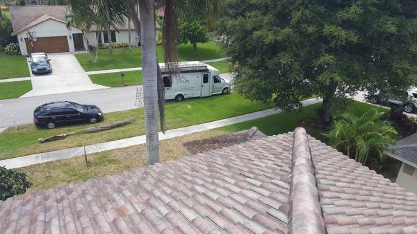 Elite Property Inspection & Management