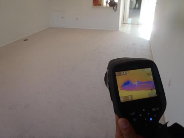Elite Property Inspection & Management