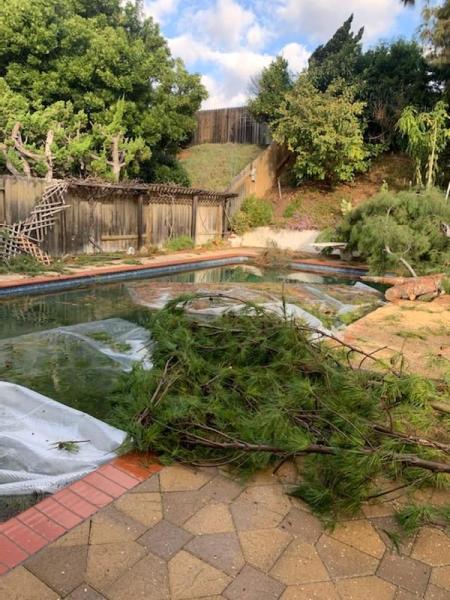 A's Tree Service
