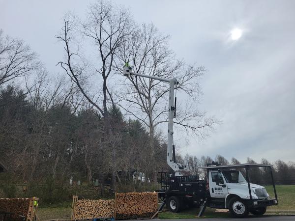 Baker Tree Services